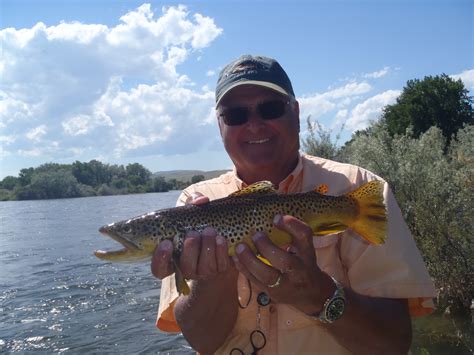 Montana Fishing Report » Yellowstone Angler