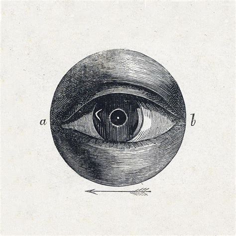 Eye Illustration Images | Free Photos, PNG Stickers, Wallpapers ...