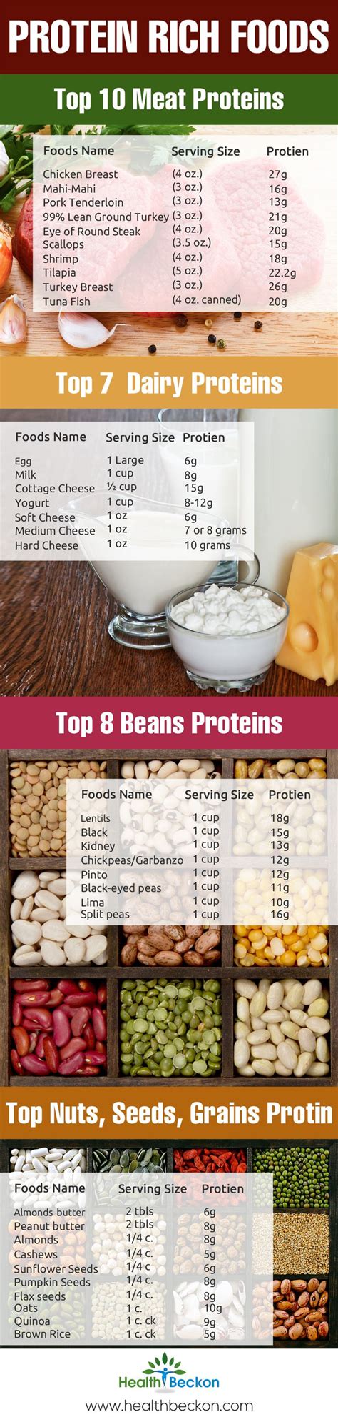 High Protein Rich Foods [Infographic] – ecogreenlove