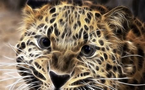 big cats - Big Cats Wallpaper (20821962) - Fanpop