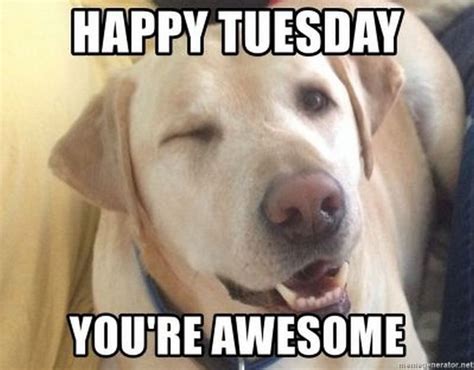 101 Funny Tuesday Memes When You're Happy You Made It | Tuesday meme ...