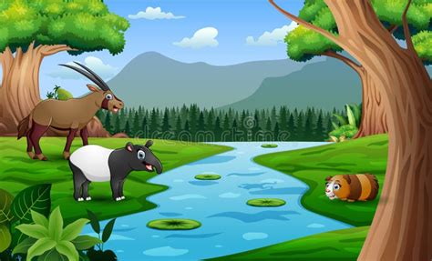 Wild Animals Cartoon Playing in the Meadow by the River Stock Illustration - Illustration of ...