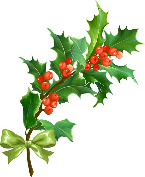 Christmas Holly Leaf - Creative Christmas png download - 1748*2132 ...