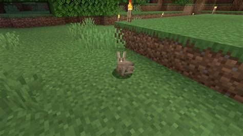 How to get and use rabbit's foot in Minecraft