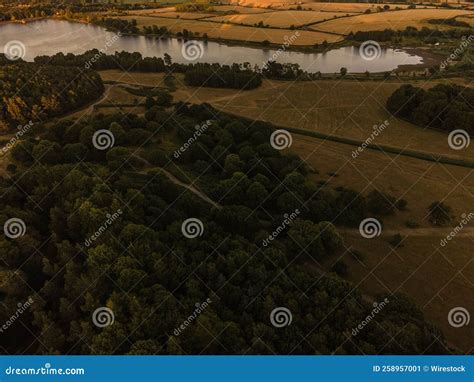 Aerial shot of a forest stock image. Image of beautiful - 258957001