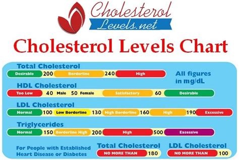 Cholesterol Levels Explained: HDL, LDL, Total, Triglycerides | Cholesterol levels, Cholesterol ...