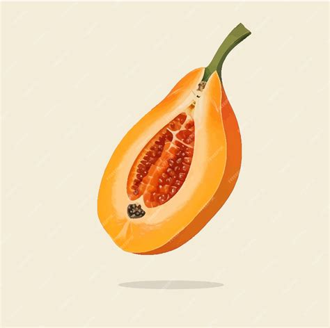 Premium Vector | Old illustration of papaya fruit