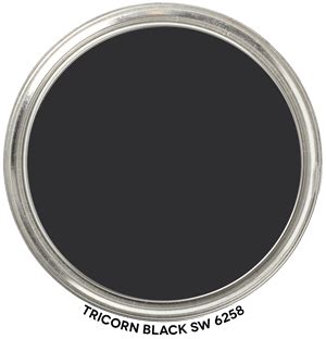 Expert SCIENTIFIC Color Review of Tricorn Black SW 6258 by Sherwin-Williams