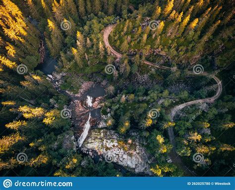 Aerial Shot of a Forest during the Day Stock Photo - Image of ...