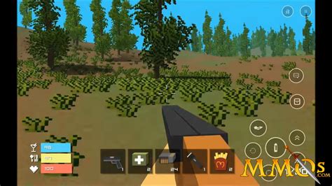 Pixel Survival Craft Game Game Review - MMOs.com