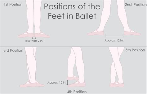 Ballet Terms for Beginners - Dance Classics