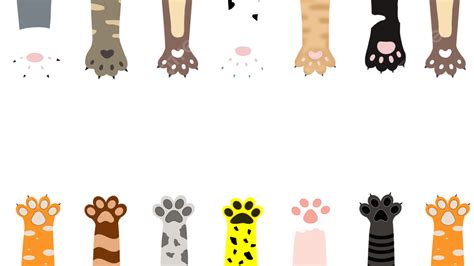 Cat Footprints Border Cartoon Cute Colorful Paw Pads, Cat Clipart, Border Clipart, Cute Clipart ...