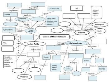 Macromolecules Concept Map Answers - Oconto County Plat Map