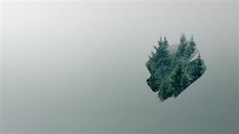 minimalist forest [2560x1440] : r/wallpapers