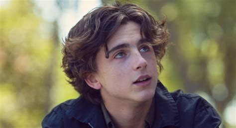 Timothée Chalamet se une a la nueva película de Wes Anderson | Cine ...