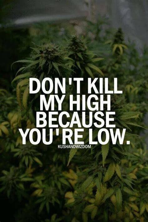 MARIJUANA QUOTES image quotes at relatably.com