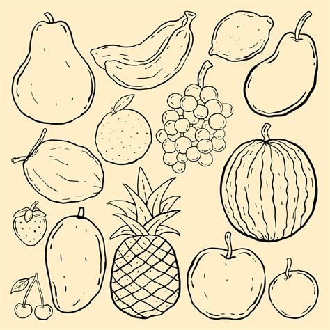 fruits doodle collection, hand drawn style. premium vector 5120560 ...