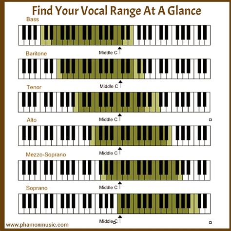 Vocal Range At A Glance | Vocal range, Voice type, Vocal