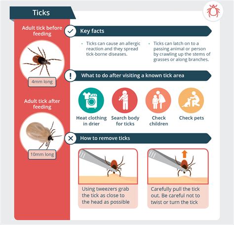 How To Treat Tick Bites