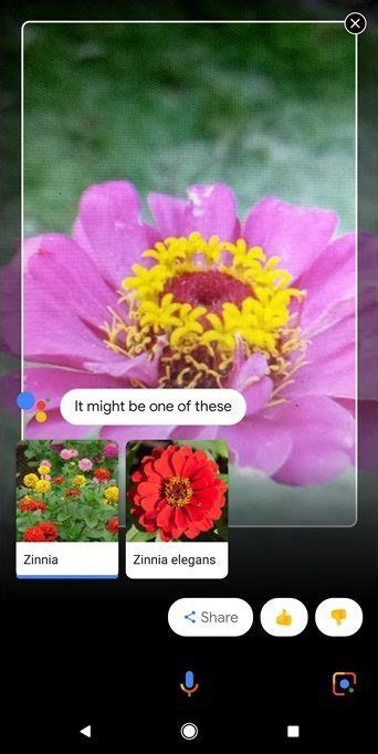 What Is Google Lens and What Are Its Best Features