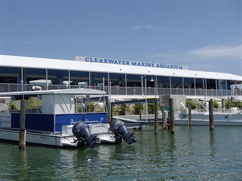 Sweet Escapes: Winter in August - a Visit to the Clearwater Marine Aquarium