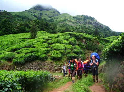 11 things you probably didn't know about Wayanad but should! | News Travel News, India.com