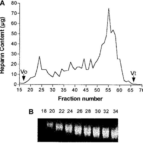 Elution profile of commercial heparin. (A) Heparin (10 mg) was eluted ...