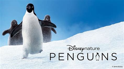 Watch March of the Penguins | Prime Video