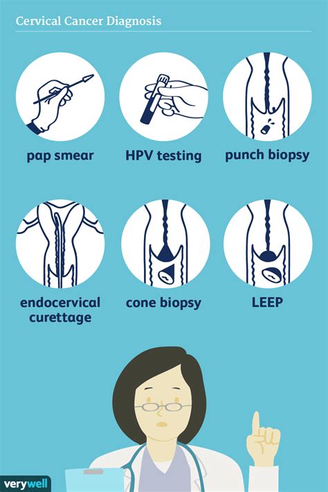 Cervix: Structure, Function, and Possible Conditions