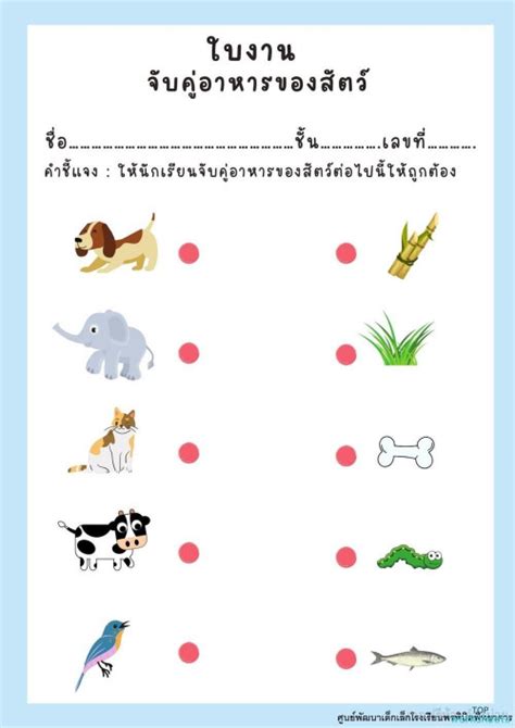 อื่น: interactive worksheets and online exercises | TopWorksheets