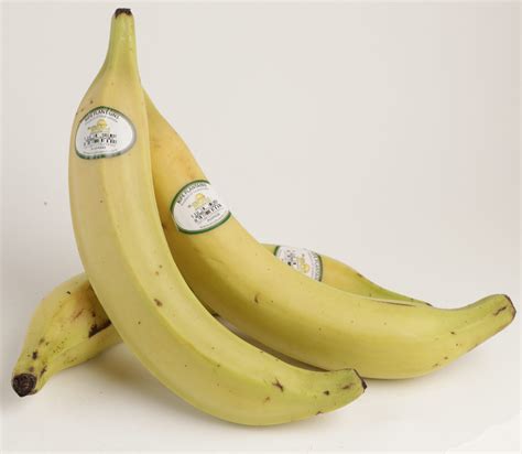 Plantain Ripe (Maduros, Platano Maduro) - El Sol Brands