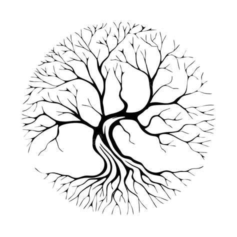 Oak Tree Design, Oak Drawing, Tree Drawing, Oak Sketch PNG and Vector ...