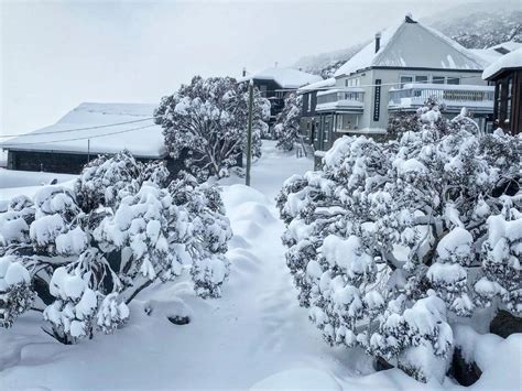 Amazing Snowfall for Australia’s 2021 Season Start - InTheSnow