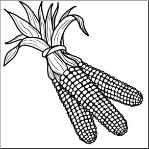 Clip Art: Indian Corn 2 B&W – Abcteach