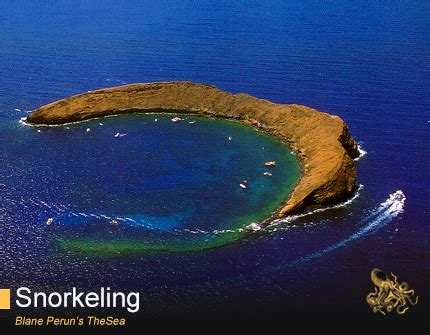 Molokini Crater Snorkeling – Blane Perun's TheSea