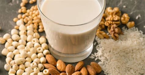 Keto Milk: Top 11 Low Carb Milk Alternatives You Can Try - KetoASAP