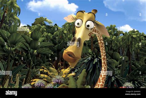 MELMAN THE GIRAFFE, MADAGASCAR, 2005 Stock Photo - Alamy