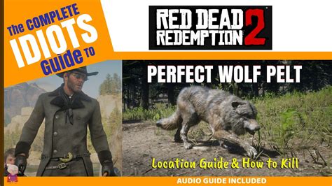 Perfect Wolf Pelt - Full Audio Guide - Idiots Guide to RDR2 - YouTube