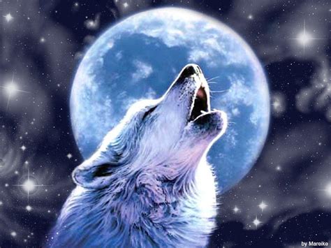 Wolf And Moon Wallpapers - Wallpaper Cave