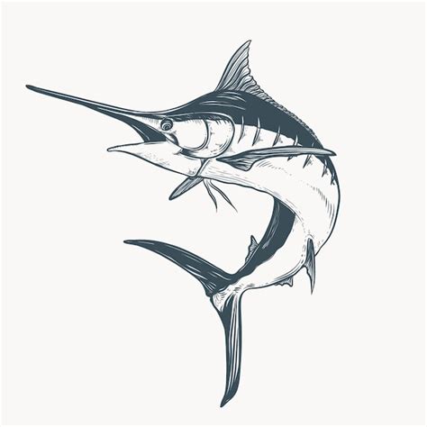 Premium Vector | Marlin drawing illustration