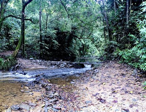 Lodge Features | Daintree Riverfalls