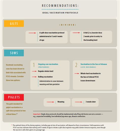 PCV2 Sow Vaccination Recommendations | The Pig Site