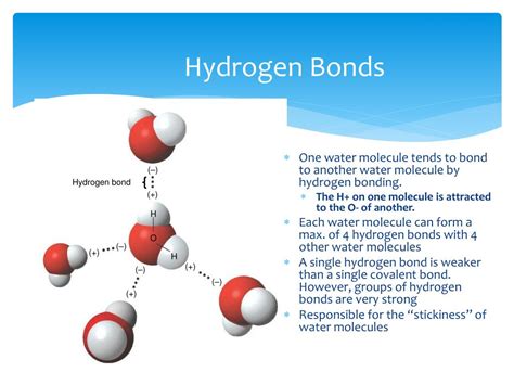 PPT - Properties of Water PowerPoint Presentation, free download - ID:3699804