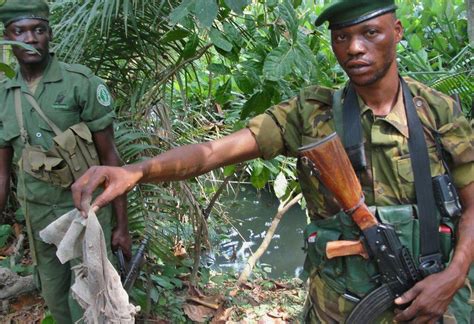 Kony's rebels remain a threat, but they're also selling honey to get by ...