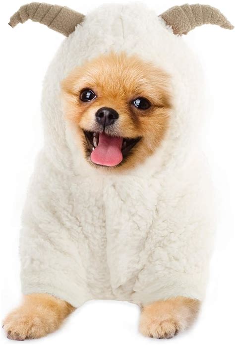 Amazon.com : KOESON Halloween Cute Sheep Dog Costumes, Lamb Pet Festival Cosplay Apparel, Puppy ...