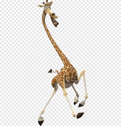 Madagáscar Melman, Melman Alex YouTube Madagáscar Filme, Madagáscar, mamífero, girafa png | PNGEgg