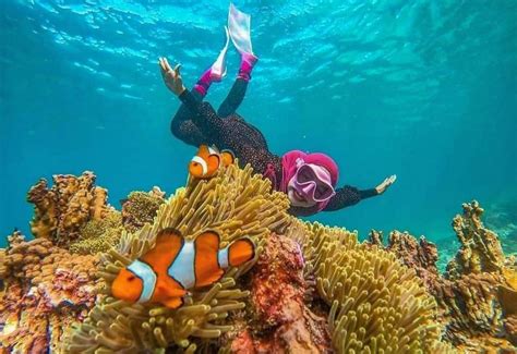 Sabang Gelar Festival Diving, Yuk Nikmati Keindahan Bawah Laut Pulau Weh - News+ on RCTI+