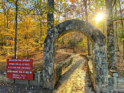 Amicalola Falls State Park & Lodge | Official Georgia Tourism & Travel ...