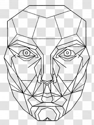 Golden Ratio Face PNG Images, Transparent Golden Ratio Face Images