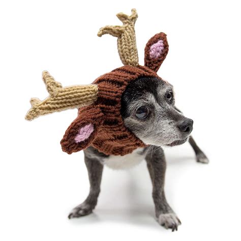 11 Best Christmas Dog Outfits to Get Your Dog in the Holiday Spirit | The Dog People by Rover.com